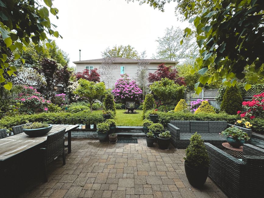 Paver patio with mixed garden borders in a residential backyard