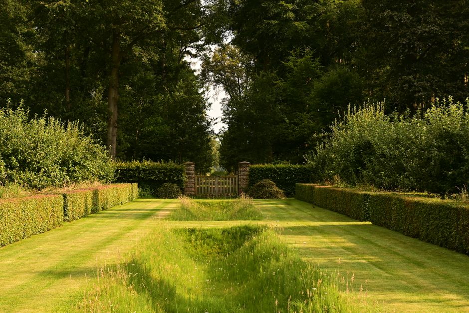 Green sod lawn bordered by a trimmed screening hedge